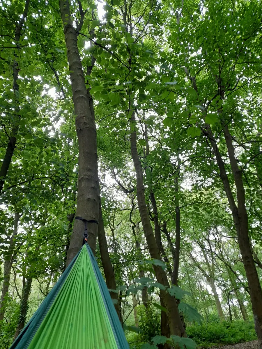 ENE1R1Q: Outdoor Activity Sessions at Doxey Marshes Nature Reserve